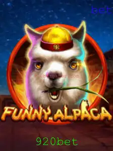 Explorando o Divertido Mundo de FunnyAlpaca